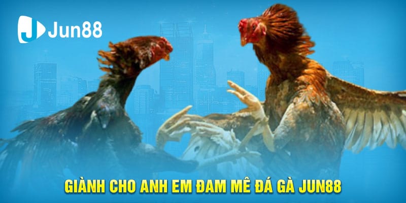 Giành cho Anh Em Đam mê Đá Gà Jun88